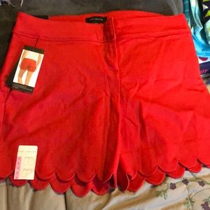 The Limited Scalloped Shorts